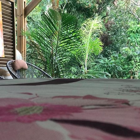 Bras-Panon Le Lambablanc Bed & Breakfast エクステリア 写真