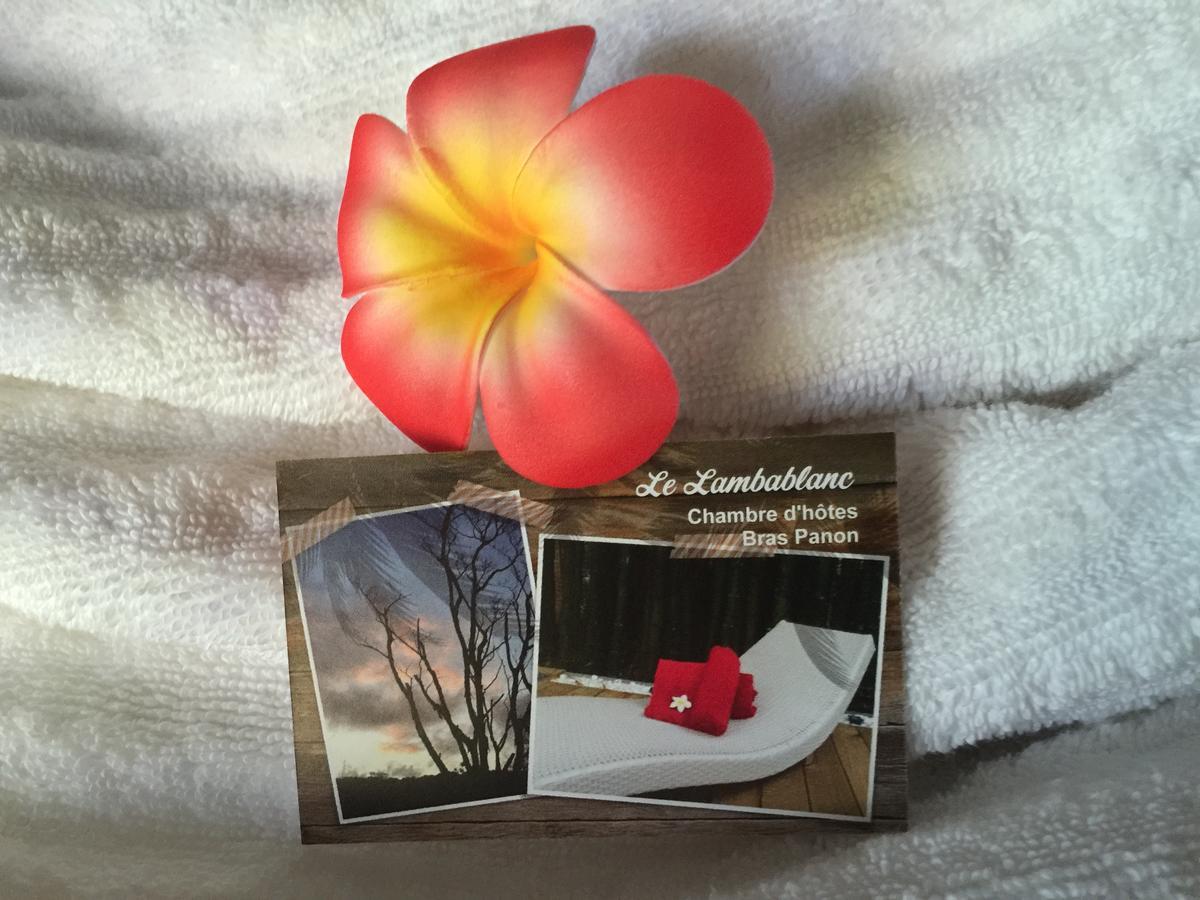 Bras-Panon Le Lambablanc Bed & Breakfast エクステリア 写真